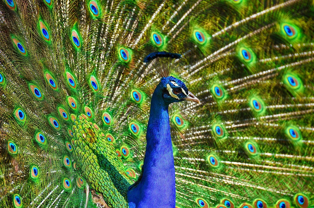 Tierpark Fürstenwalde